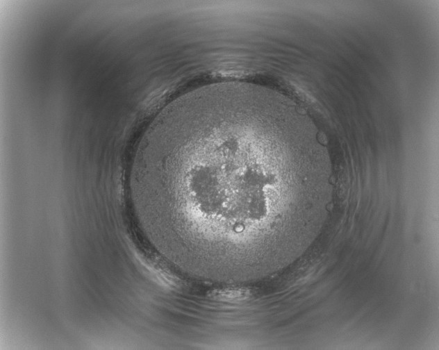 X0000063460639200601231419