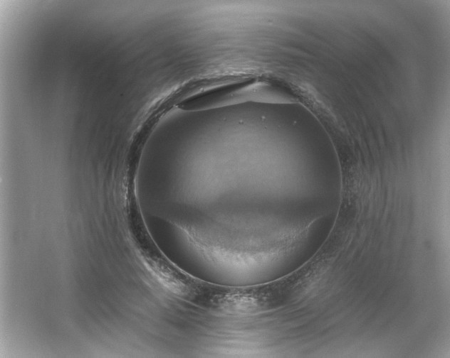 X0000063460640200601231419