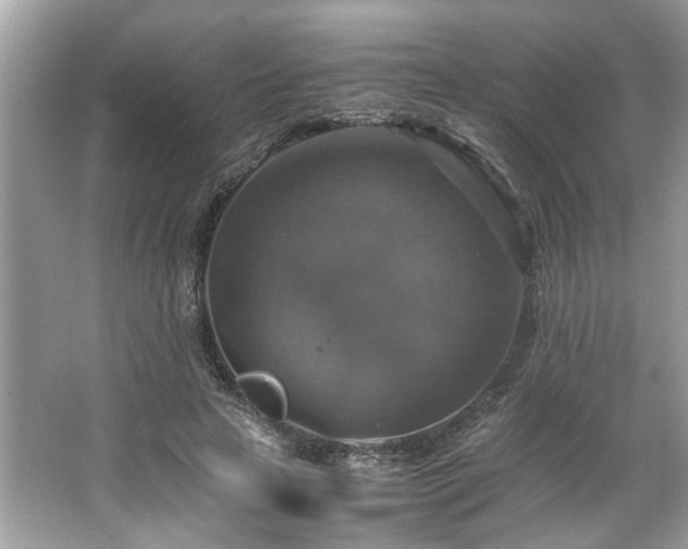 X0000063460641200601231419