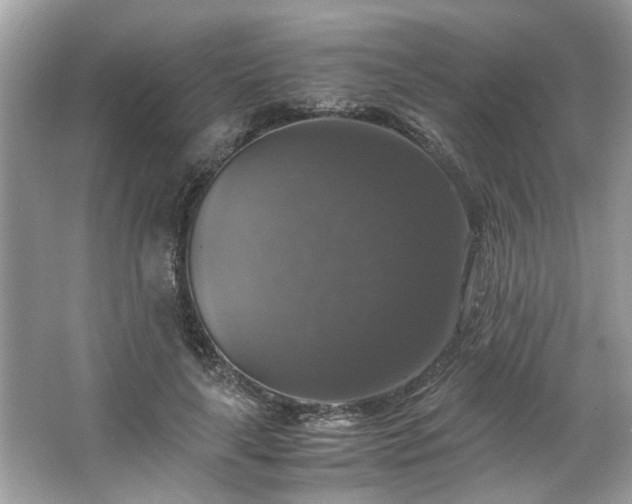 X0000063460643200601231419