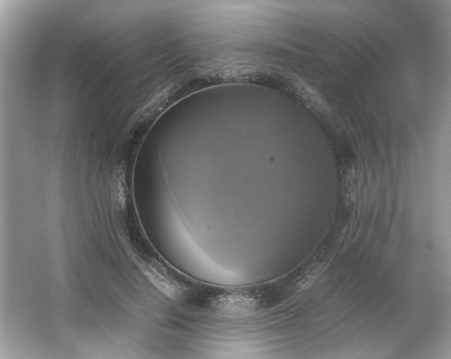 X0000063460644200601231419