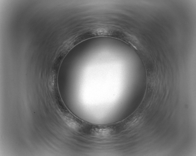 X0000063460645200601231419