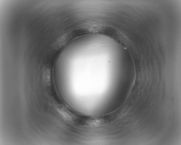 X0000063460646200601231419