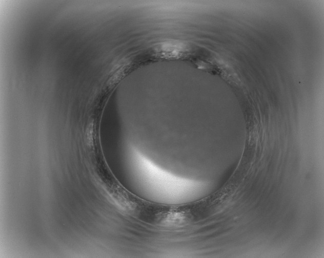 X0000063460647200601231419