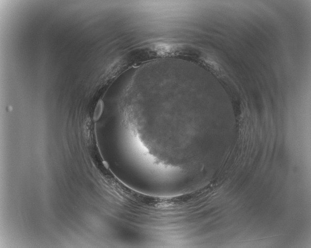 X0000063460650200601231419