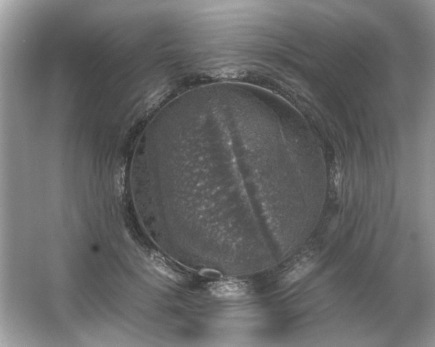 X0000063460652200601231419