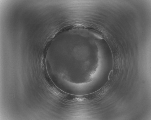 X0000063460654200601231419