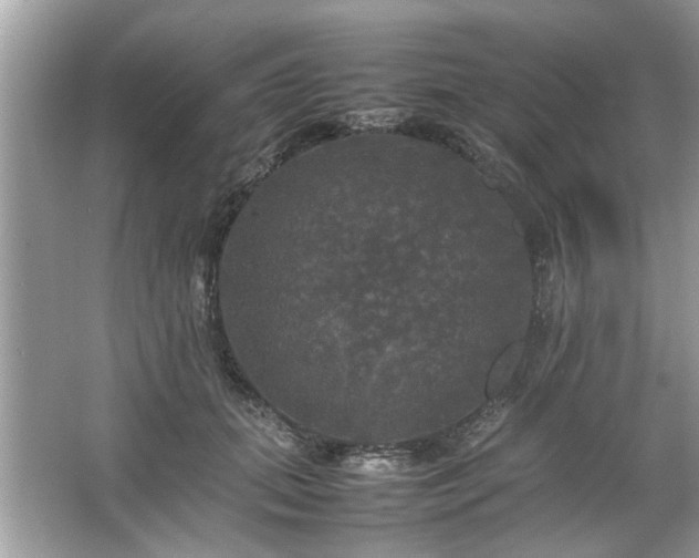 X0000063460655200601231419