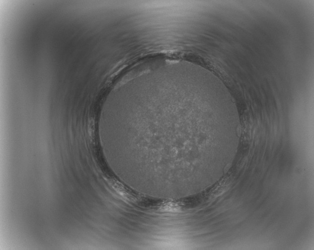 X0000063460656200601231419