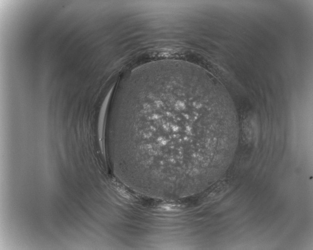 X0000063460657200601231419