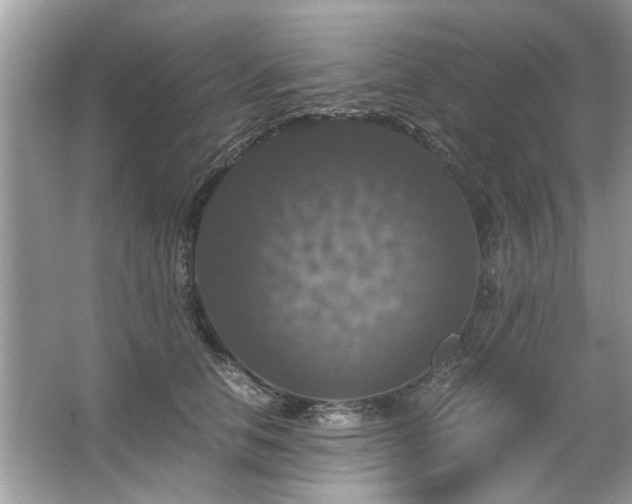 X0000063460658200601231419