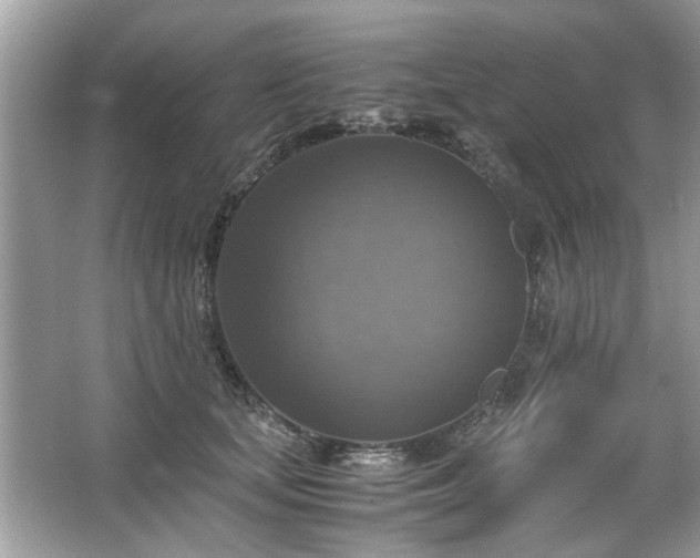 X0000063460659200601231419