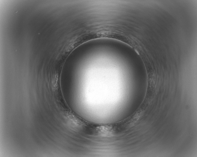 X0000063460660200601231419