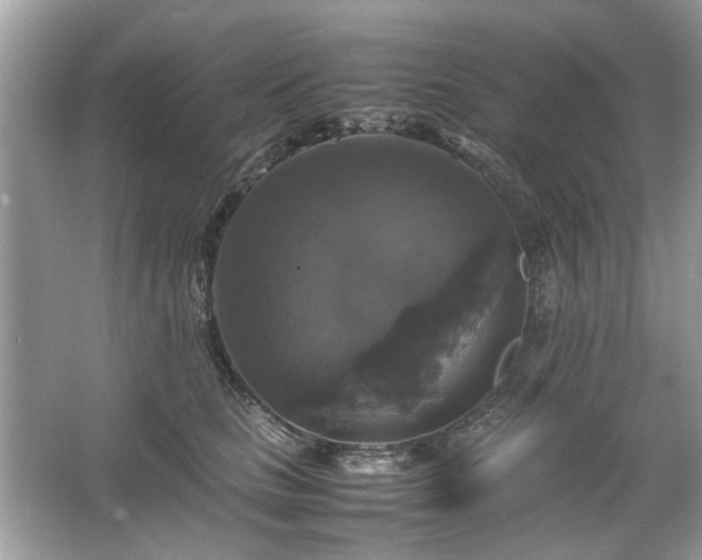 X0000063460661200601231419