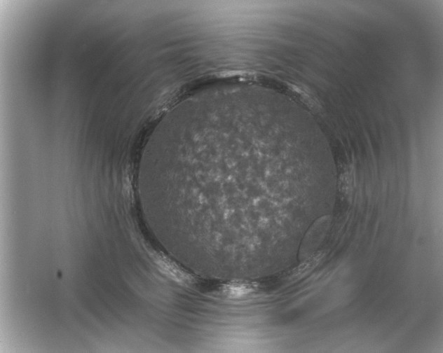 X0000063460662200601231419