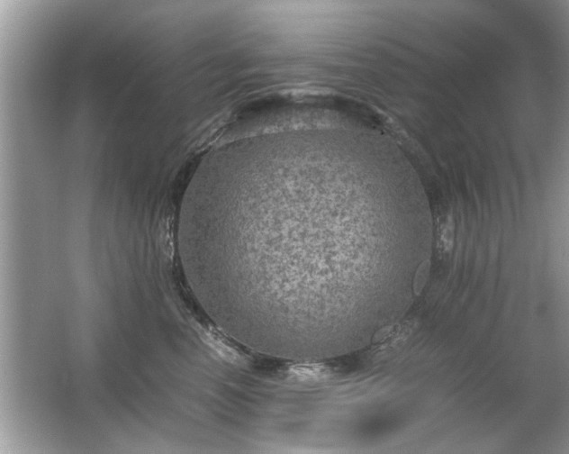 X0000063460666200601231420