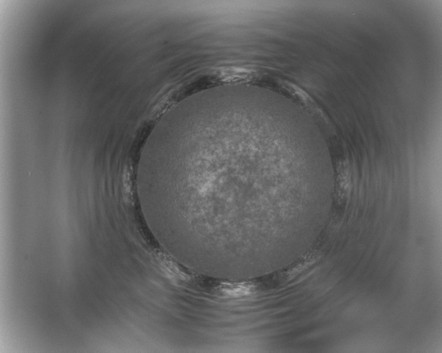 X0000063460667200601231420