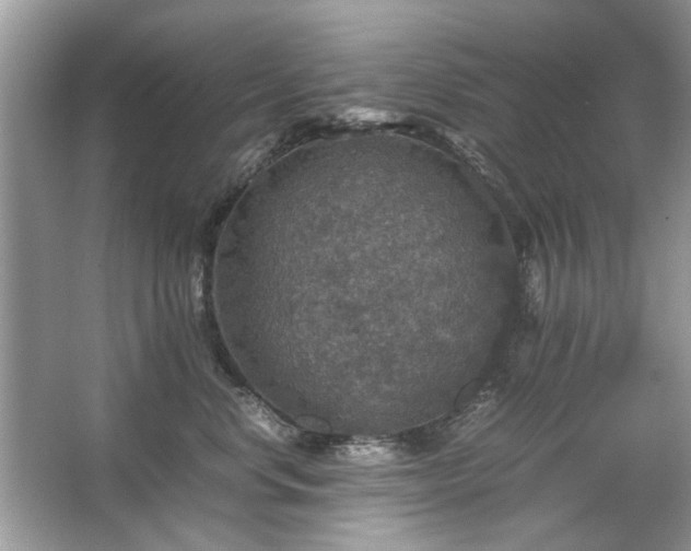 X0000063460668200601231420