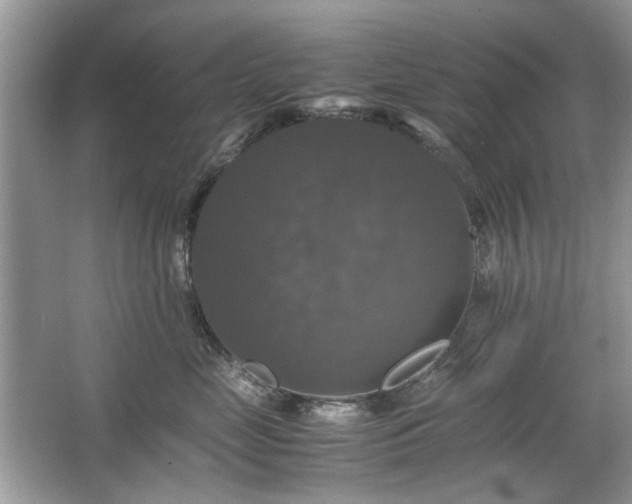 X0000063460669200601231420