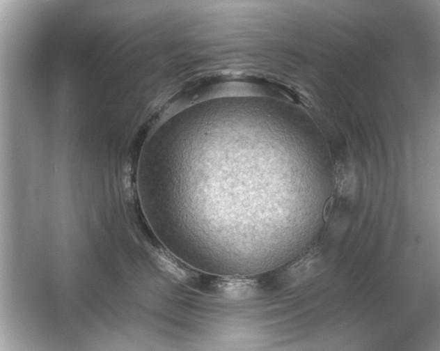 X0000063460670200601231420