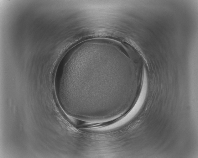 X0000063460673200601231419