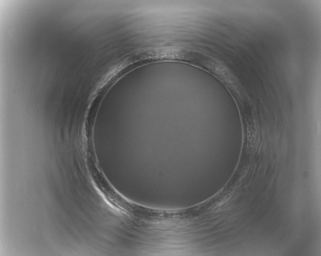 X0000063460674200601231419