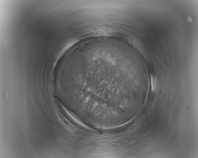 X0000063460675200601231419