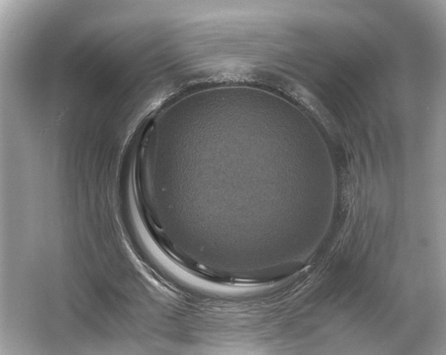 X0000063460677200601231419