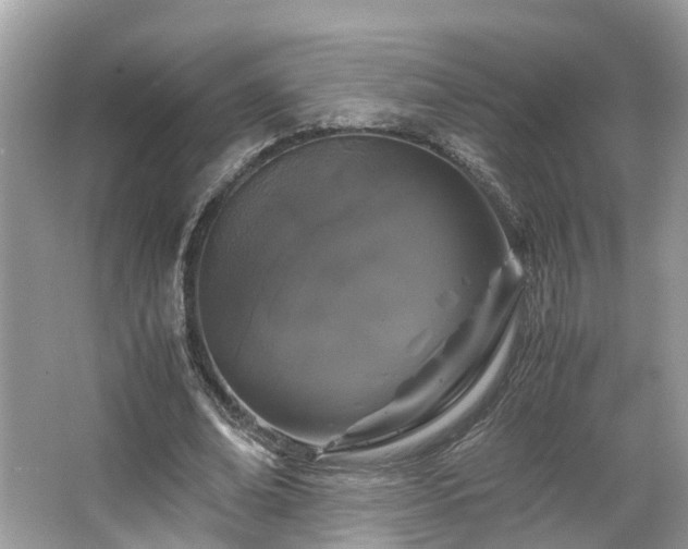 X0000063460678200601231419