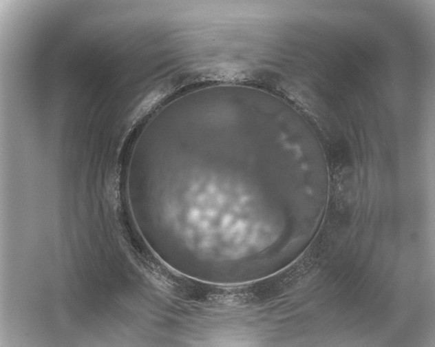 X0000063460679200601231419