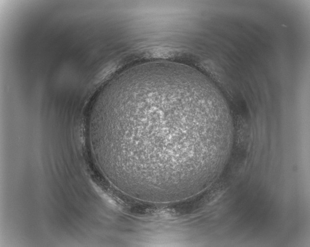 X0000063460683200601231419