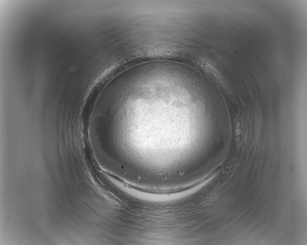 X0000063460684200601231419