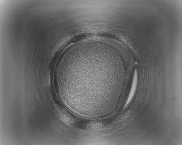 X0000063460685200601231419