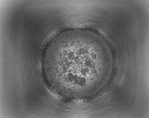 X0000063460687200601231419