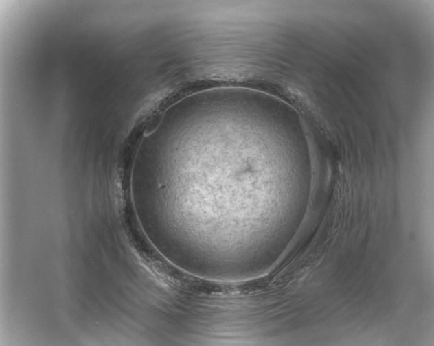 X0000063460688200601231419