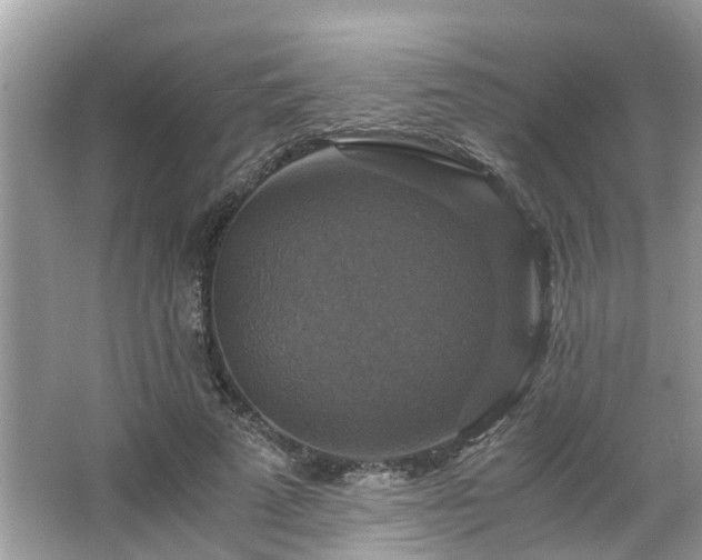 X0000063460689200601231419