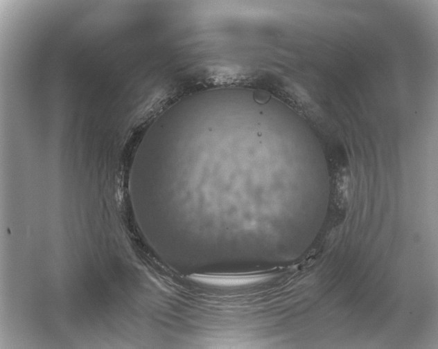 X0000063460691200601231419