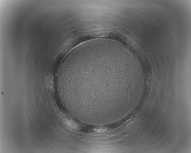 X0000063460693200601231418