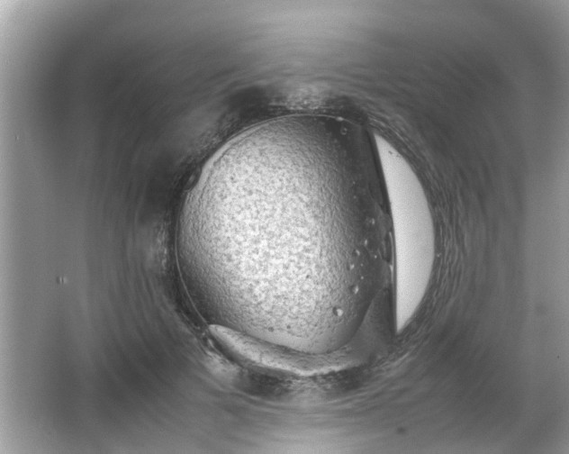 X0000063460697200601231418