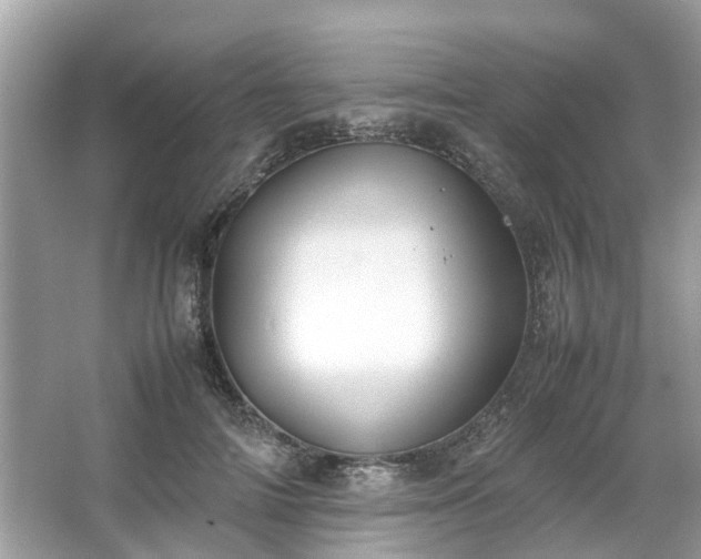 X0000063460698200601231418