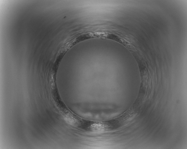 X0000063460699200601231418