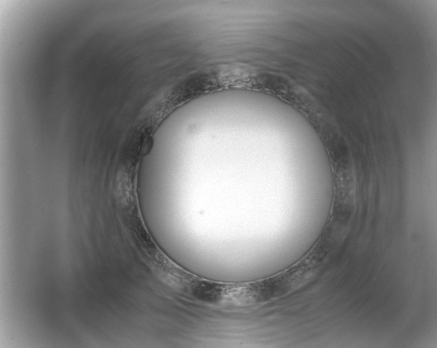 X0000063460705200601231418