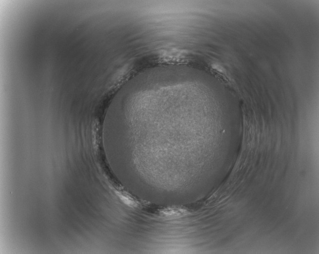 X0000063460712200601231418