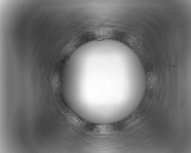 X0000063460713200601231418