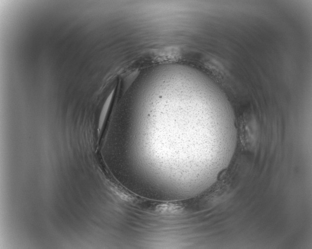 X0000063460714200601231418