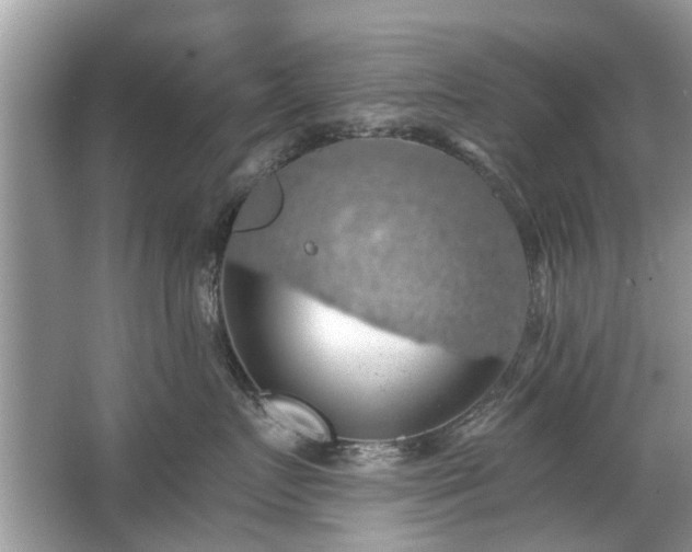 X0000063460719200601231418