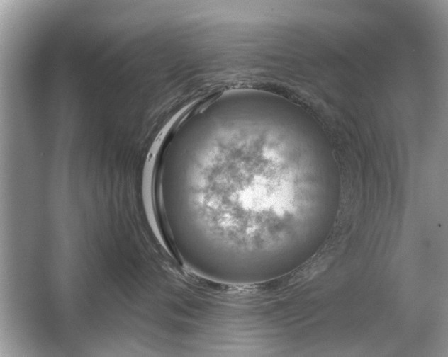 X0000063460720200601231418