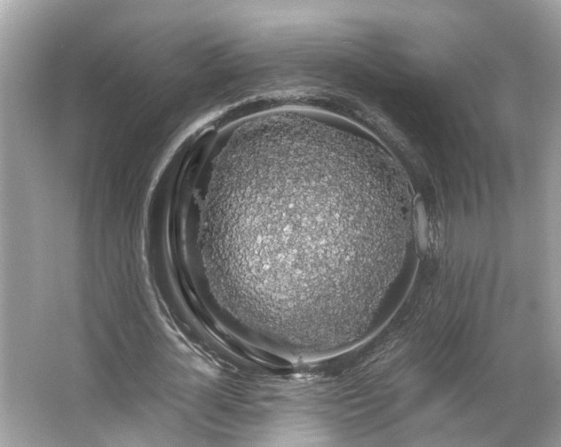 X0000063460724200601231417