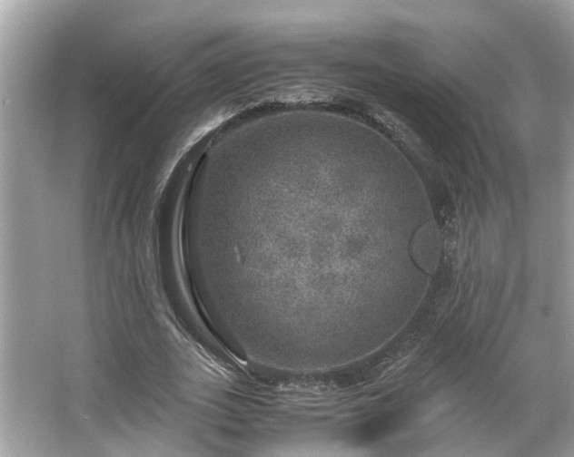 X0000063460727200601231417