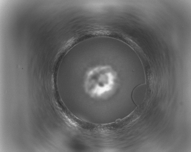 X0000063460729200601231417